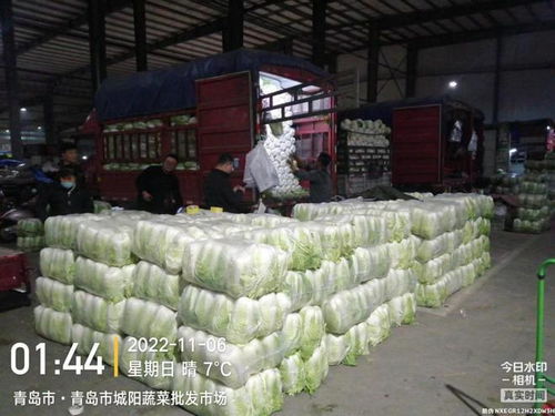 青島五大批發(fā)市場(chǎng)保障市民“菜籃子”供應(yīng)，零售價(jià)格持續(xù)走低